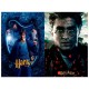 Harry Potter Harry Cratch Off Puzzel 150pcs