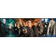 Harry Potter Panorama Puzzel Characters