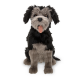 Disney Tramp Plush – Lady and the Tramp – Live Action