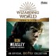 Harry Potter: Ron Weasley Year 8 1:16 Scale Resin Figurine