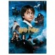 Harry Potter Sorcerers Stone Movie Poster puzzle 1000pc