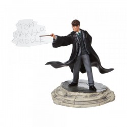 Tom Riddle Figurine, Harry Potter