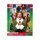 Elf Jigsaw Puzzle Collage (1000 pieces)