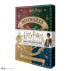 Harry Potter: Advent Calendar 2021