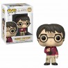 Funko Pop 132 Harry Potter