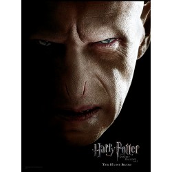 Harry Potter: Voldemort Face 30 x 40 cm Glass Poster