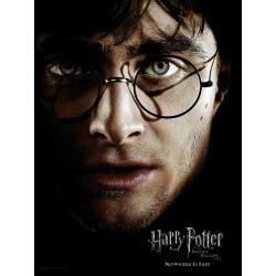 Harry Potter: Harry Face 30 x 40 cm Glass Poster