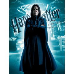 Harry Potter: Half-Blood Prince - Snape 30 x 40 cm Glass Poster