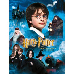 Harry Potter: The Philosopher's Stone 30 x 40 cm Glass Poster