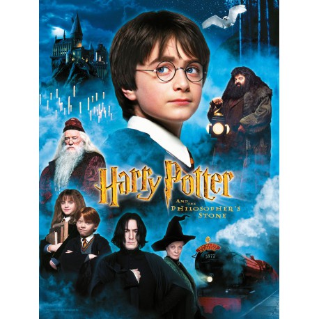 Harry Potter: The Philosopher's Stone 30 x 40 cm Glass Poster
