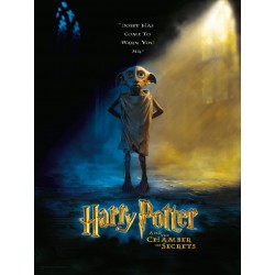 Harry Potter: Dobby 30 x 40 cm Glass Poster