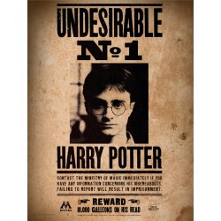 Harry Potter: Undesirable No. 1 30 x 40 cm Glass Poster