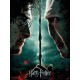Harry Potter: Harry Potter and Voldemort 30 x 40 cm Glass Poster