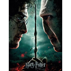 Harry Potter: Harry Potter and Voldemort 30 x 40 cm Glass Poster