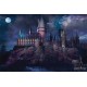 Harry Potter Hogwarts - Maxi Poster (N4)