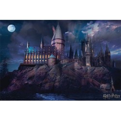 Harry Potter Hogwarts - Maxi Poster (N4)