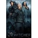 The Witcher Connected By Fate - Maxi Poster (N21)