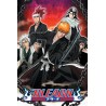 Bleach Chained - Maxi Poster (AH3)