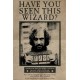Harry Potter Wanted Sirius Black - Maxi Poster (N73)