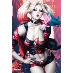 Batman Harley Quinn Kiss - Maxi Poster (N49)