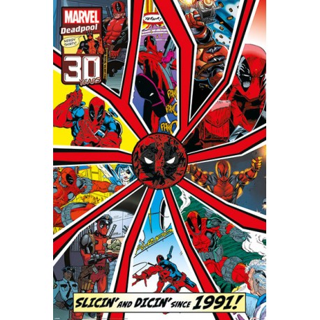 Deadpool Shattered - Maxi Poster (N66)