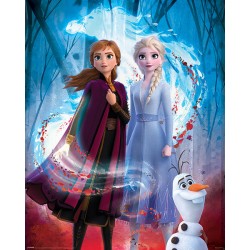Frozen 2 Guiding Spirit Mini Poster (N926)