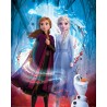 Frozen 2 Guiding Spirit Mini Poster (N926)