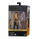 Star Wars Episode I Black Series Deluxe Action Figure 2021 Jar Jar Binks 15 cm