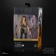 Star Wars Episode I Black Series Deluxe Action Figure 2021 Jar Jar Binks 15 cm