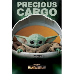 Star Wars The Mandalorian Precious Cargo - Maxi Poster N23