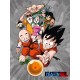 Dragon Ball: Characters 30 x 40 cm Glass Poster