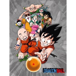 Dragon Ball: Characters 30 x 40 cm Glass Poster