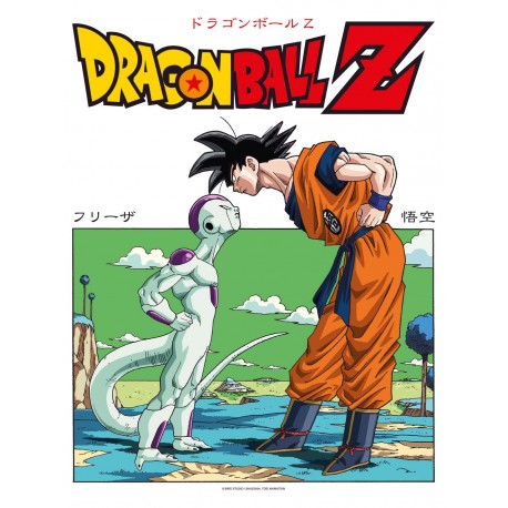 Dragon Ball Z: Goku vs Frieza 30 x 40 cm Glass Poster