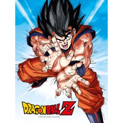 Dragon Ball Z: Goku Kame 30 x 40 cm Glass Poster