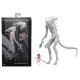 Alien: Covenant Action Figure - Neomorph