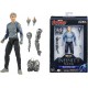 Quicksilver. Marvel Legends Series: The Infinity Saga