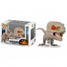 Funko Pop 1205 Atrociraptor (Ghost), Jurassic World: Dominion