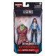 Doctor Strange in the Multiverse of Madness Marvel Legends Series Action Figure 2022 America Chavez 15 cm