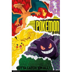 Pokémon Gotta Catch Them All - Maxi Poster (n60)(P02)