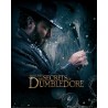 Fantastic Beasts The Secrets Of Dumbledore Watch - Mini Poster (N924)