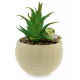 Disney Grogu Artificial Potted Plant, Star Wars: The Mandalorian