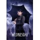 Wednesday Downpour - Maxi Poster (WD1)
