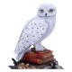 Harry Potter Figure Hedwig 22 cm