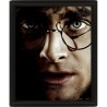 Harry Potter vs Voldemort - Framed 3D Poster