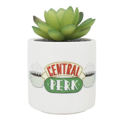 Friends (Central Perk) Plant Pot Faux Boxed (6.5cm)