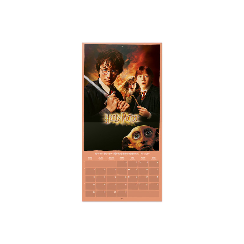 Harry Potter 2024 Calendar Wondertoys.nl