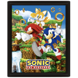 Sonic The Hedgehog (Catching Rings) 10 x 8" 3D Lenticular Poster (Framed)