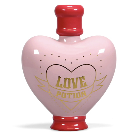 Harry Potter (Amortentia Love Potion) - Table Top Vase Shaped