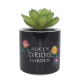Disney Alice in Wonderland - Plant Pot Faux Boxed (6.5cm)