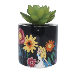 Disney Alice in Wonderland - Plant Pot Faux Boxed (6.5cm)
